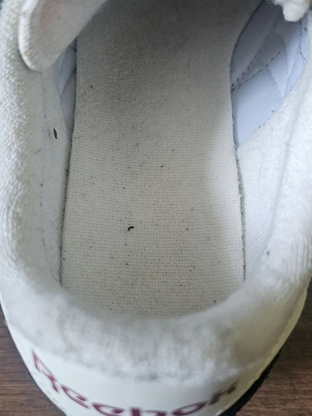Reebok Green and White Sneaker with Maroon Logo Text